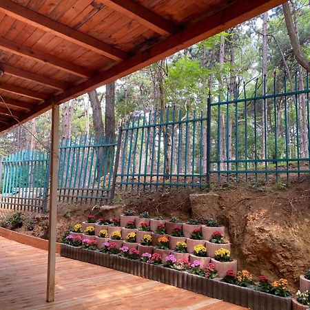 Hotel Gloria Ks Приштина Екстер'єр фото
